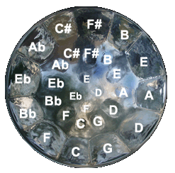 e186fig1